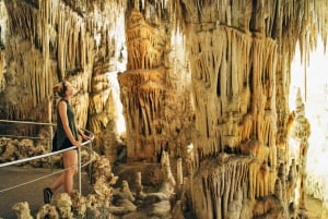 Majorque visite aux grottes du Drach et grottes dels Hams
