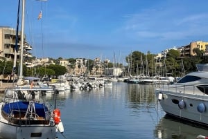 Mallorca: Hamsin luolat Pääsylippu ja kuljetus