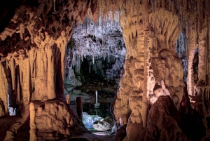 Mallorca: Caves of Hams Tour and Dinosaur Land Visit