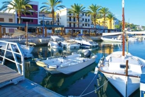 Mallorca: Coastal Cruise to Port of Andratx with swim stop