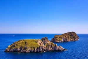 Mallorca: Coastal Cruise to Port of Andratx with swim stop