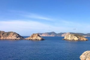 Mallorca: Coastal Cruise to Port of Andratx with swim stop