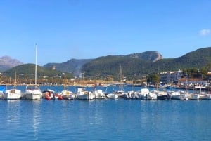 Mallorca: Coastal Cruise to Port of Andratx with swim stop