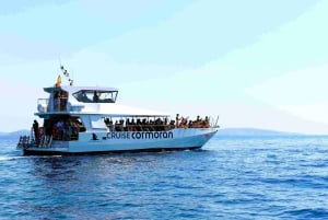 Mallorca: Coastal Cruise to Port of Andratx with swim stop