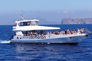 Mallorca: Coastal Cruise to Port of Andratx with swim stop