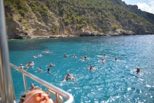 Mallorca: Cruise to Dragonera Island & Andratx Port