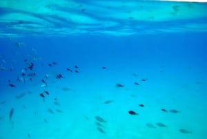 Mallorca: Cruise to Dragonera Island & Andratx Port