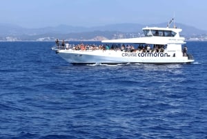 Mallorca: Cruise to Dragonera Island & Andratx Port
