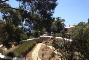 Mallorca: Cruise to Dragonera Island & Andratx Port