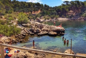 Mallorca: Cruise to Dragonera Island & Andratx Port