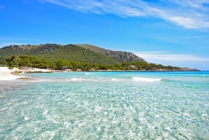 Mallorca Upplevelse: Mesquida / Cala Agulla & Molto