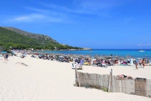 Mallorca: Day Trip to Cala Agulla, Mesquida y Molto
