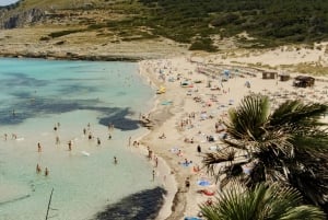 Mallorca: Dagstur til Cala Agulla, Mesquida og Molto