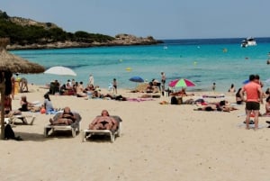 Mallorca: Viagem de 1 dia para Cala Agulla, Mesquida e Molto
