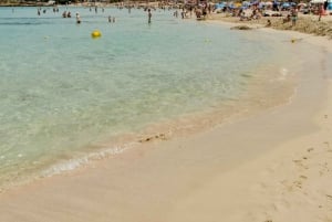 Mallorca: Excursión de un día a Cala Agulla, Mesquida y Molto