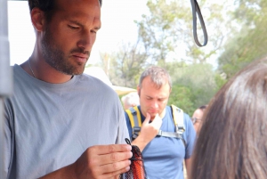 Maiorca: Escursione di un giorno a Cala Agulla, Mesquida e Molto