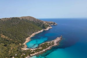 Majorka: 1-dniowa wycieczka do Cala Agulla, Mesquida y Molto