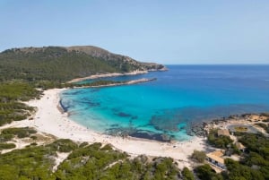 Mallorca: Tagestour nach Cala Agulla, Mesquida y Molto