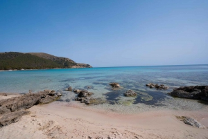 Mallorca: Viagem de 1 dia para Cala Agulla, Mesquida e Molto