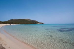 Mallorca: Excursión de un día a Cala Agulla, Mesquida y Molto