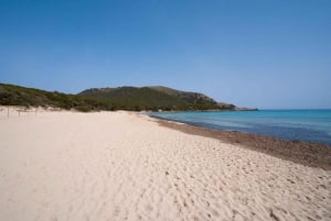 Mallorca: Excursión de un día a Cala Agulla, Mesquida y Molto