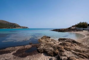Mallorca: Dagstur til Cala Agulla, Mesquida og Molto