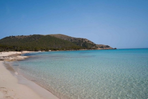 Mallorca: Excursión de un día a Cala Agulla, Mesquida y Molto