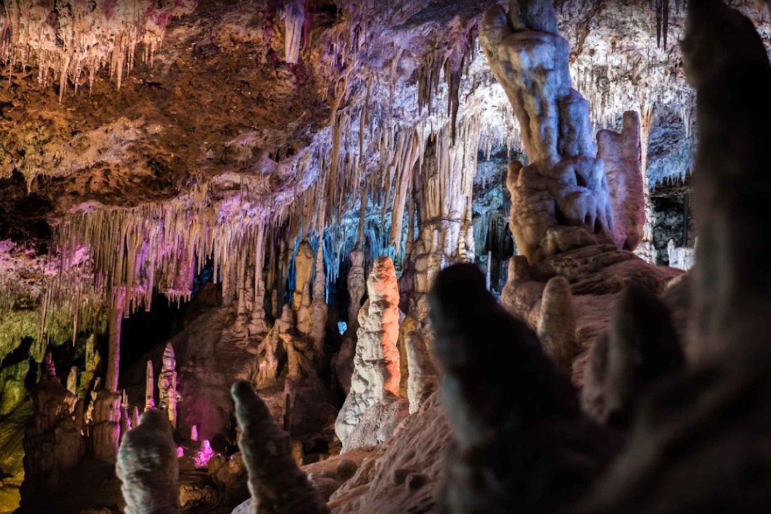 Mallorca: Dagsutflukt til Hams-grottene og valgfritt Dinosaurland