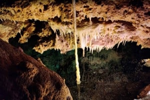 Mallorca: Day Trip to Caves of Hams & Optional Dinosaurland