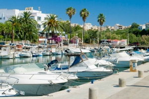 Mallorca: Day Trip to Drach Caves with Lake Martel Concert