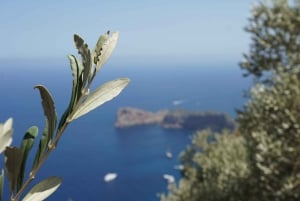 Day Trip to Hidden Gems of Tramuntana with Lunch