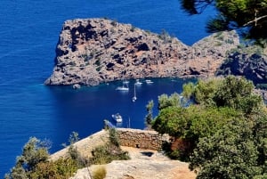 Mallorca: Day Trip to Hidden Gems of Tramuntana with Lunch