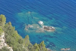 Mallorca: Day Trip to Hidden Gems of Tramuntana with Lunch