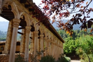 Mallorca: Day Trip to Hidden Gems of Tramuntana with Lunch