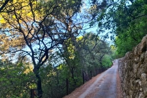 Mallorca: Day Trip to Hidden Gems of Tramuntana with Lunch