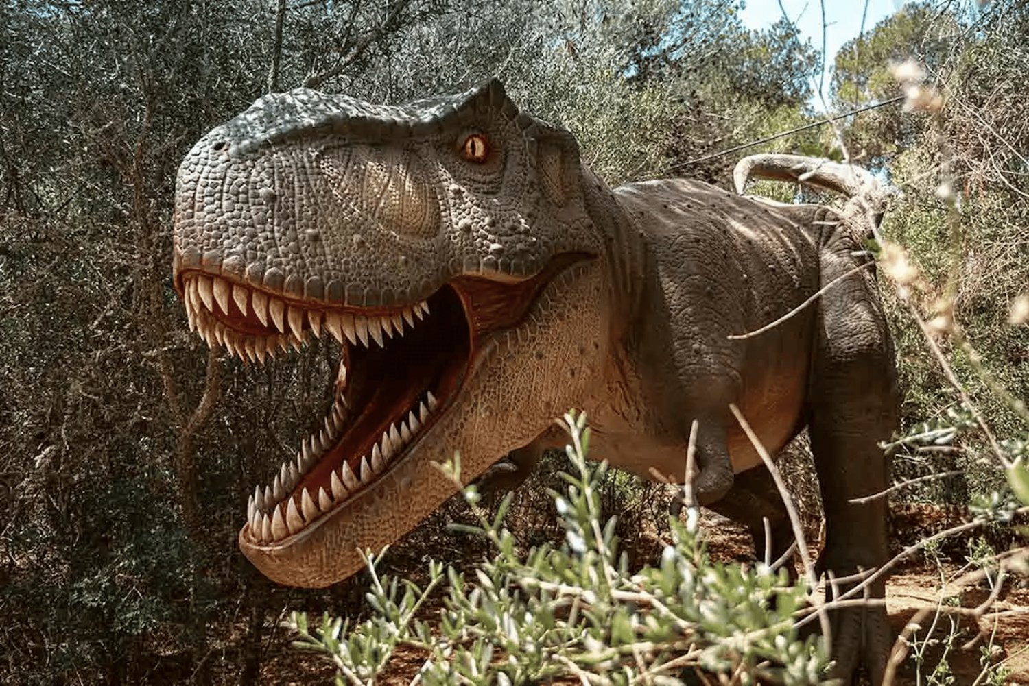 Mallorca: Dinosaurland Park, Hams-hulene og Porto Cristo-tur
