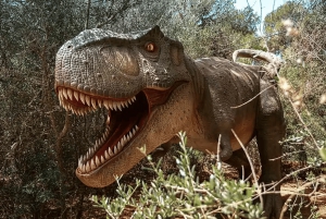Mallorca: Dinosaurland Park, Hams Caves & Porto Cristo Tour