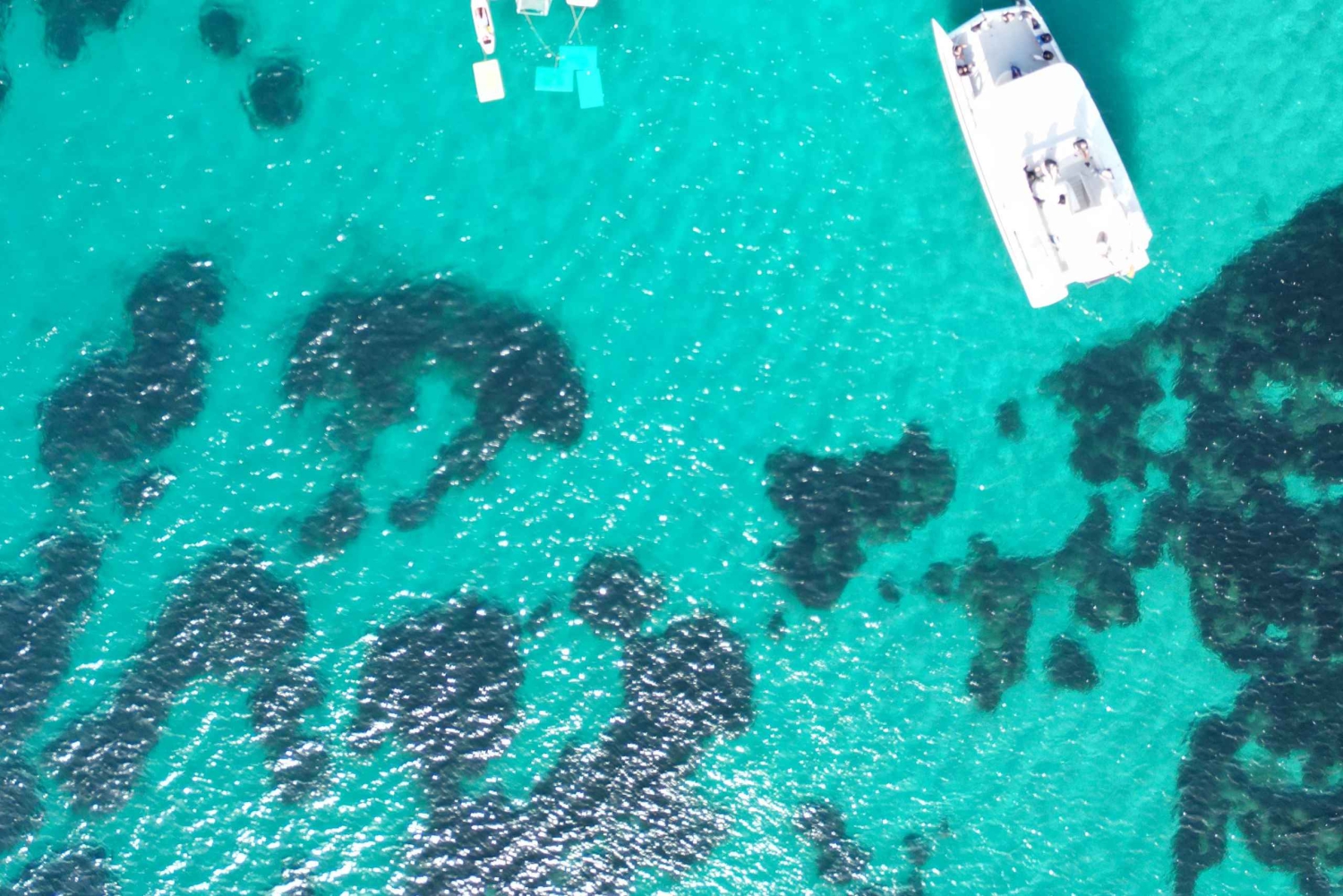 Maiorca: Descobre enseadas paradisíacas a bordo de um catamarã exclusivo