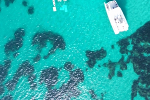 Maiorca: Descobre enseadas paradisíacas a bordo de um catamarã exclusivo