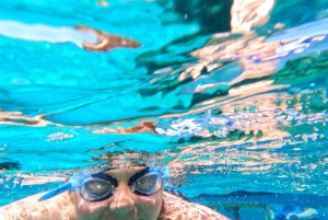 Maiorca: Descobre enseadas paradisíacas a bordo de um catamarã exclusivo