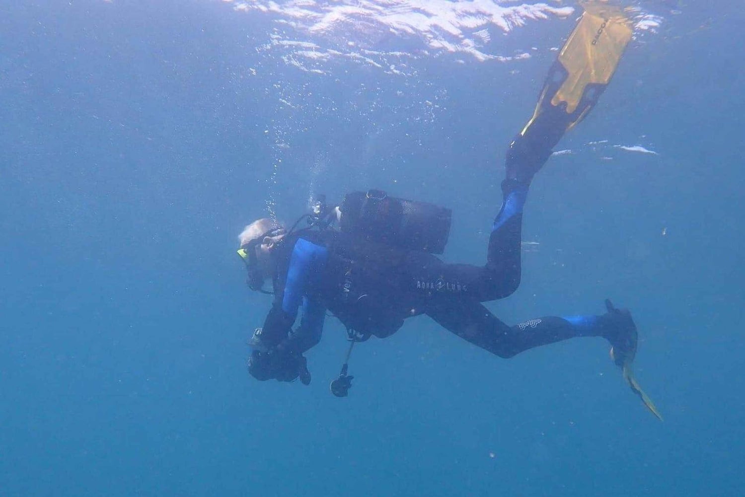 Mallorca: Entdecken Sie das Tauchen vom Strand aus