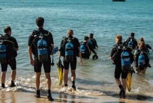 Mallorca: Entdecken Sie das Tauchen vom Strand aus