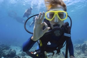 Mallorca: Entdecken Sie das Tauchen vom Strand aus