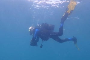 Mallorca: Entdecken Sie das Tauchen vom Strand aus
