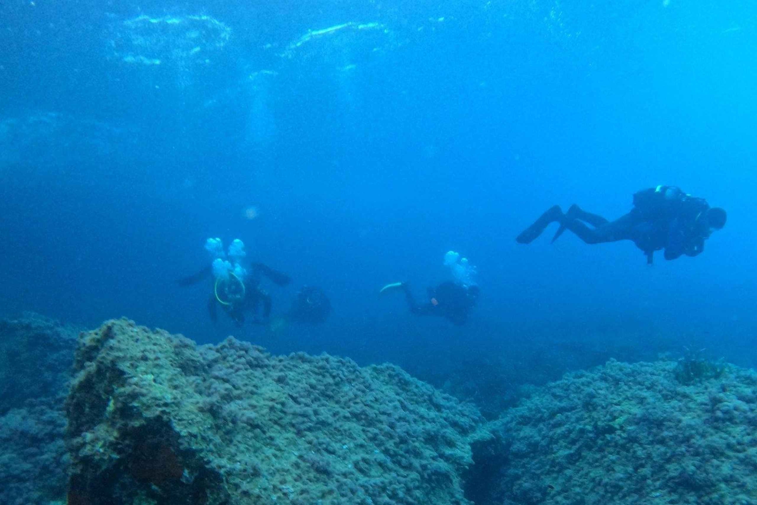 Mallorca: Discover Scuba Diving from the boat