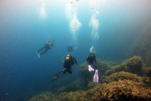 Mallorca: Discover Scuba Diving from the boat
