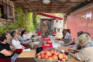 Découvrez les trésors du vin de Majorque dans un domaine viticole de premier ordre.