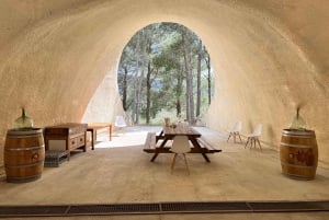 Découvrez les trésors du vin de Majorque dans un domaine viticole de premier ordre.