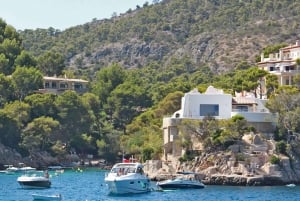 Mallorca: 3-Hour Morning Dolphin Watching Cruise