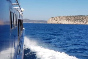 Mallorca: Dolphin Watching Cruise with Lunch